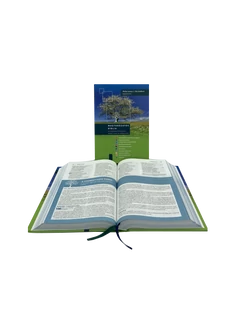 Magyarázatos Biblia