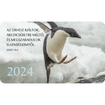 Kártyanaptár csomag 2024 (36) – Az Úrhoz kiáltok, aki dicséretre méltó... (pingvin)