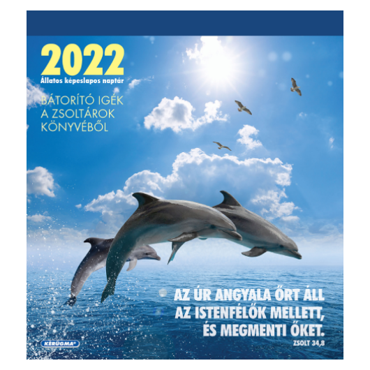 Naptár - képesnaptár 2022 - fekvő - Bátorító Igék