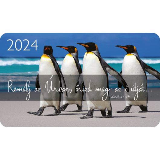 Kártyanaptár csomag 2024 (10) – Remélj az Úrban... (pingvinek)
