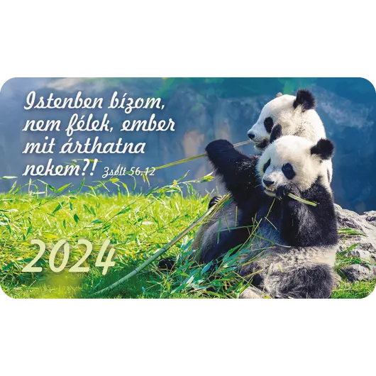 Kártyanaptár csomag 2024 (35) – Istenben bízom, nem félek... (panda)