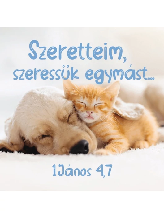 Szeretteim, szeressük egymást... – Hűtőmágnes