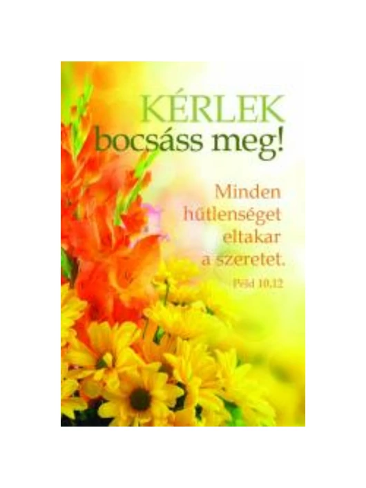 Kérlek bocsáss meg! – Minikártya csomag (P24)