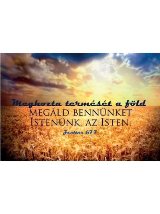 Meghozta termését a föld... – Minikártya csomag (T08)