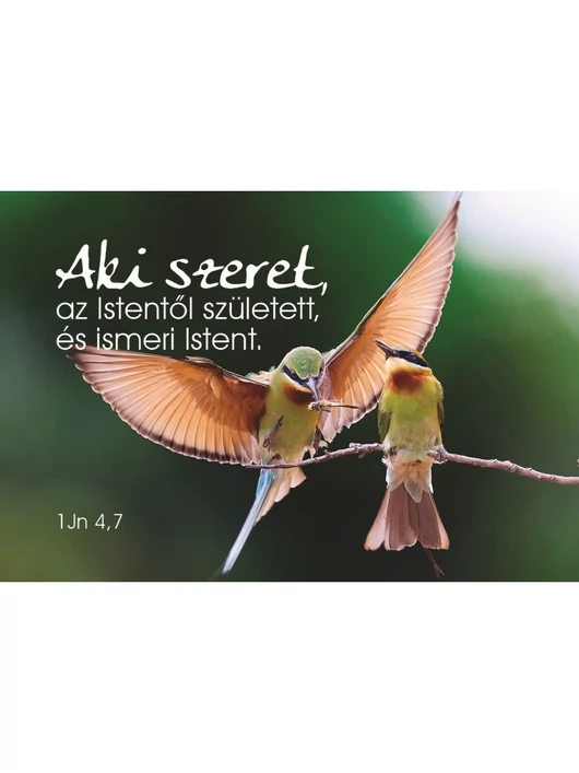 Aki szeret, az Istentől született... – Minikártya csomag (T78)