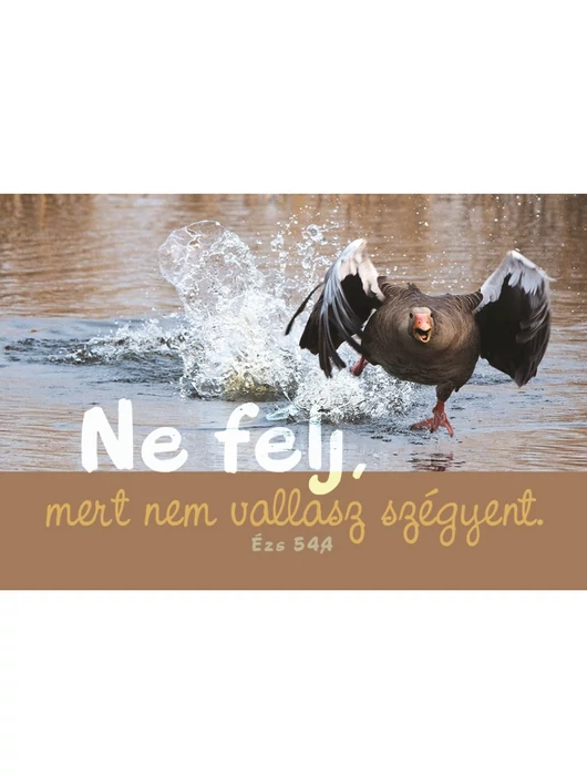 Ne félj, mert nem vallasz szégyent – Minikártya csomag (T80)
