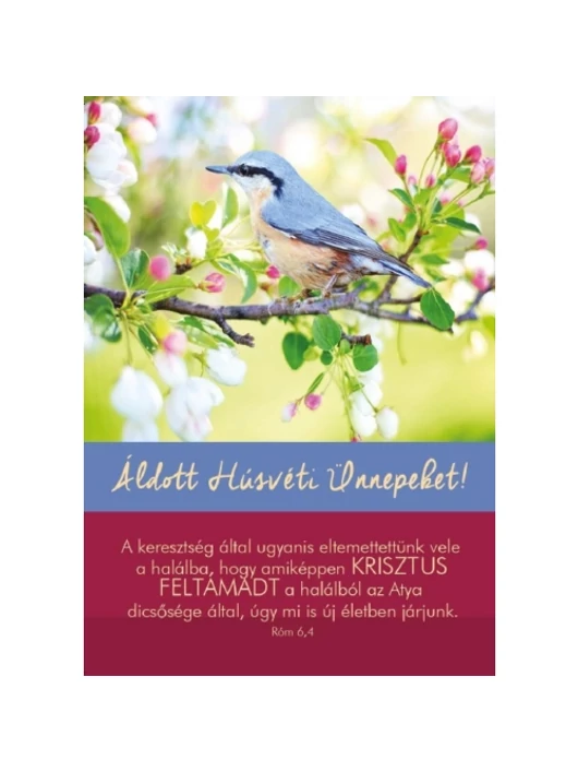 A keresztség által ugyanis – Madár – Húsvéti képeslap csomag
