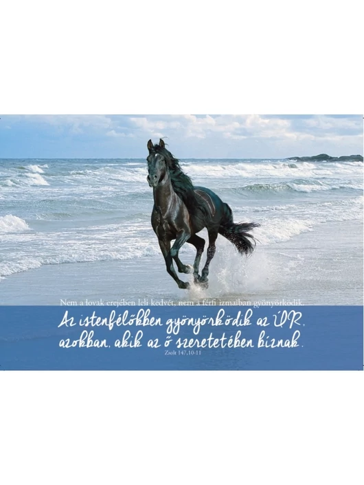 ...Az istenfélőkben gyönyörködik az Úr... – Képeslap csomag (KE-T05)