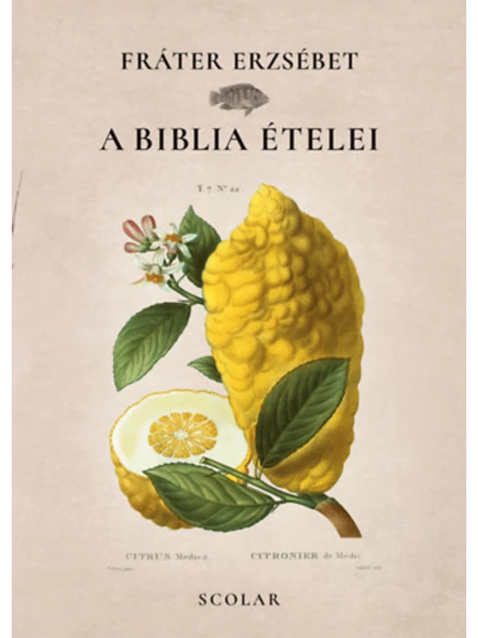 A Biblia ételei – Fráter Erzsébet