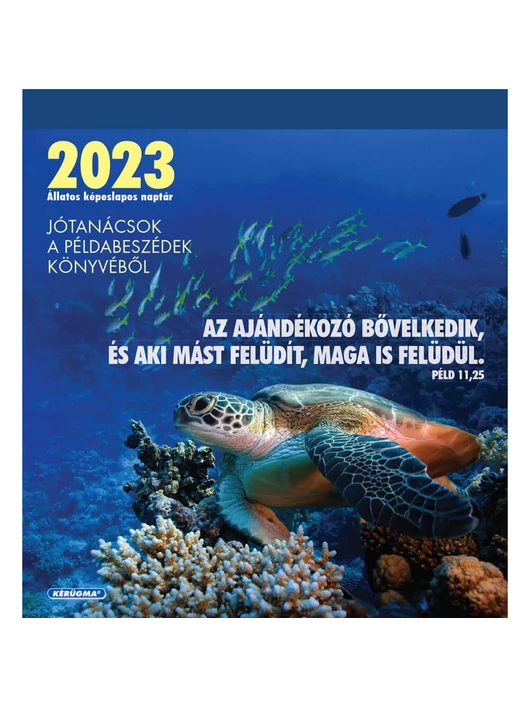 Képeslapnaptár 2023 – Teknős, Jótanácsok a Példabeszédek könyvéből