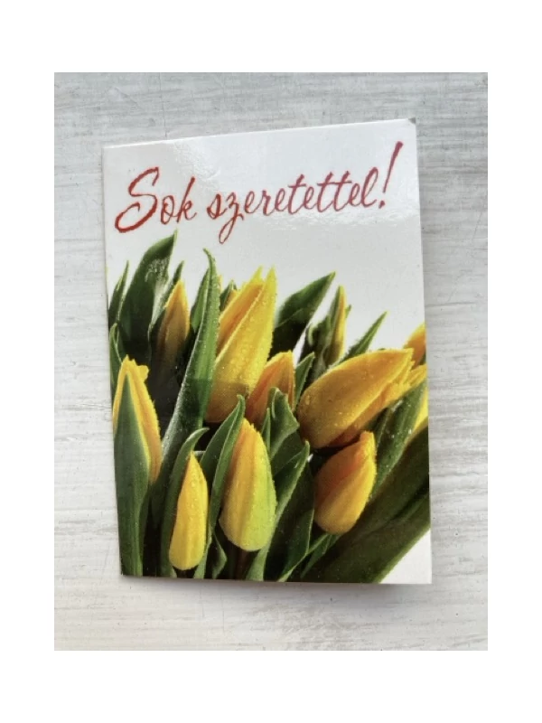 Áldjon meg téged az Úr... – Kétoldalas ajándékkísérő kártya csomag – sárga tulipán