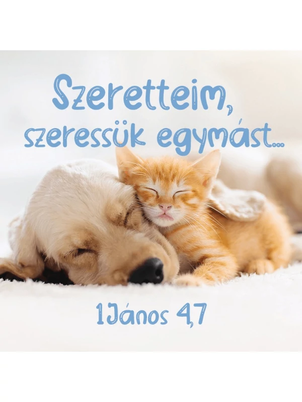 Szeretteim, szeressük egymást... – Hűtőmágnes