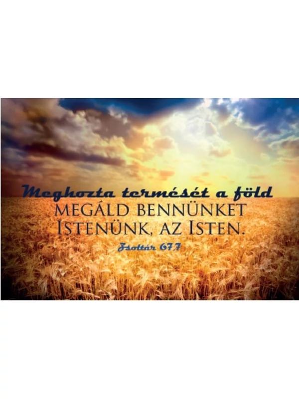 Meghozta termését a föld... – Minikártya csomag (T08)