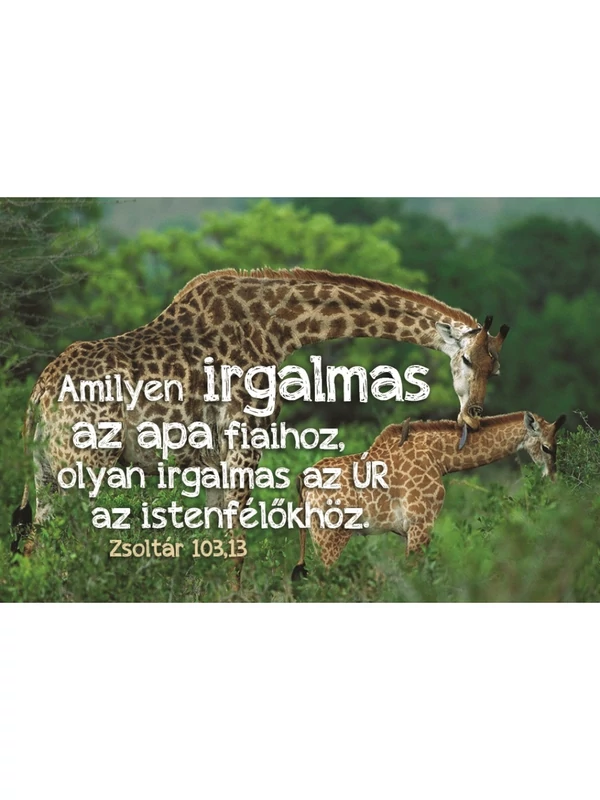 Amilyen irgalmas az apa fiaihoz... – Minikártya csomag (T88)