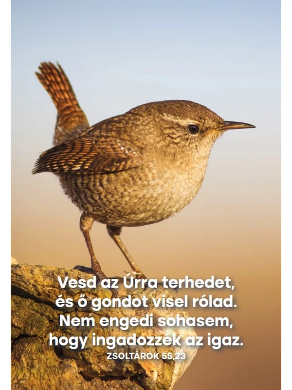 Vesd az Úrra terhedet – képeslap csomag (10 db)