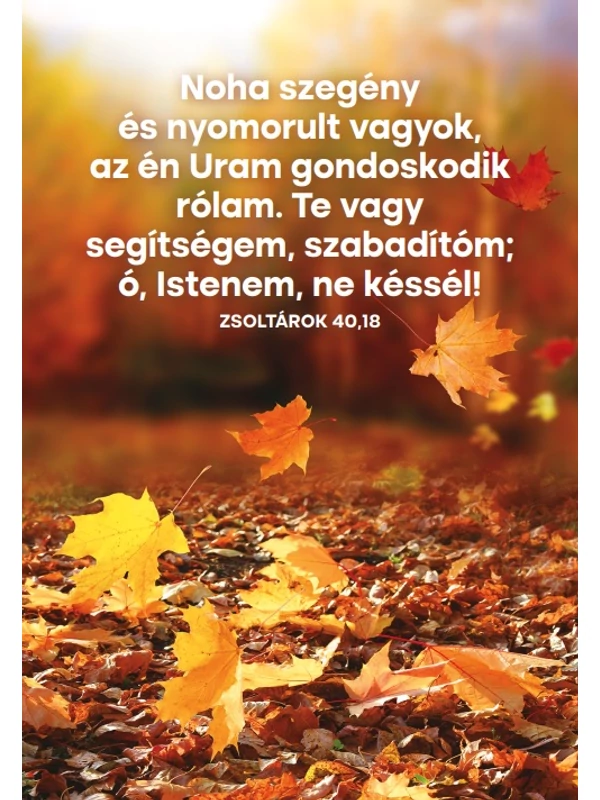 Noha szegény – képeslap csomag (10 db)