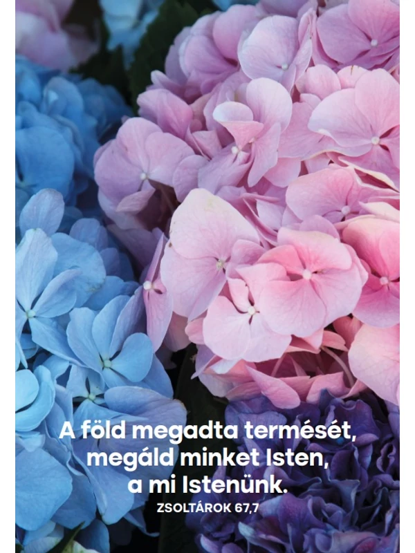 Képeslapcsomag, vegyes (álló) – Neki gondja van rátok – Igék János evangéliumából – 14 db/csomag