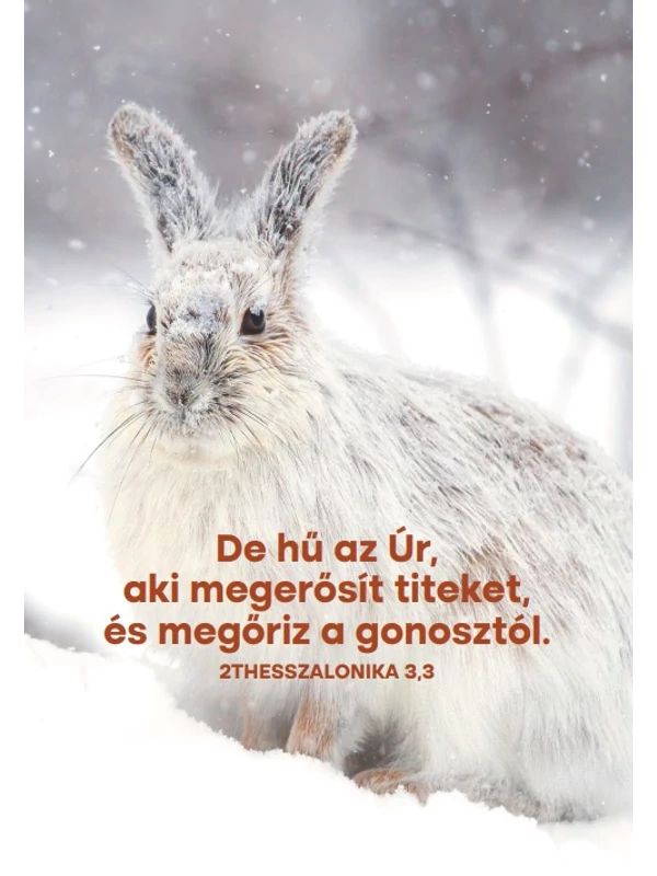 De hű az Úr – képeslap csomag (10 db)
