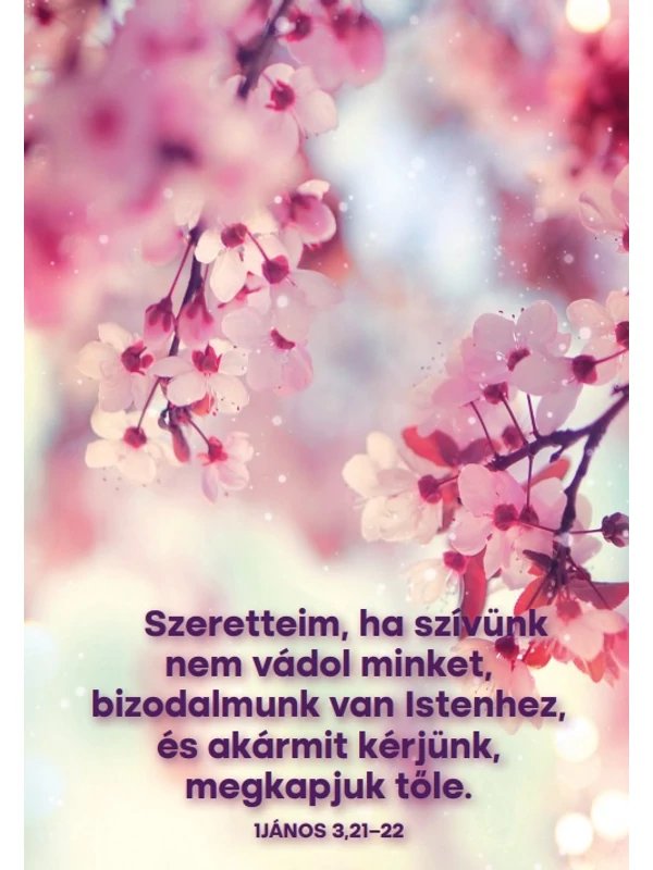 Szeretteim, ha szívünk nem vádol – képeslap csomag (10 db)