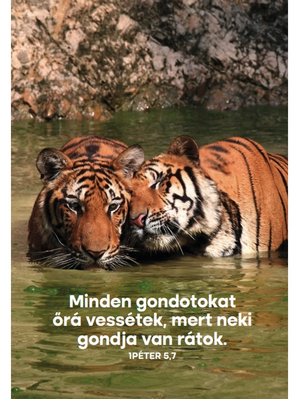 Minden gondotokat őrá vessétek – képeslap csomag (10 db)