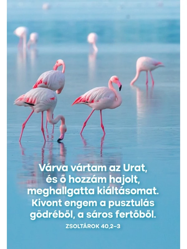 Várva vártam az Urat – képeslap csomag (10 db)