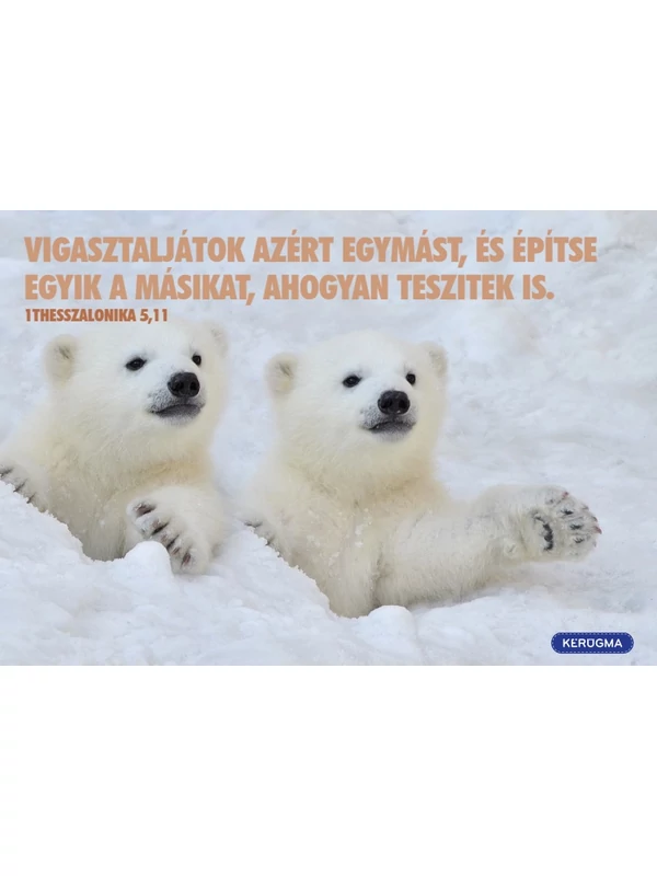 Vigasztaljátok azért egymást – képeslap csomag (10 db)