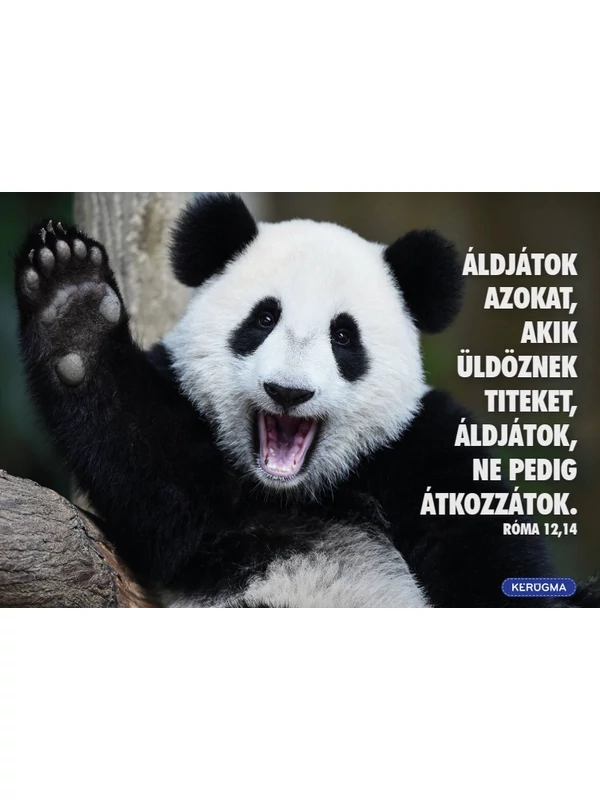 Áldjátok azokat – képeslap csomag (10 db)