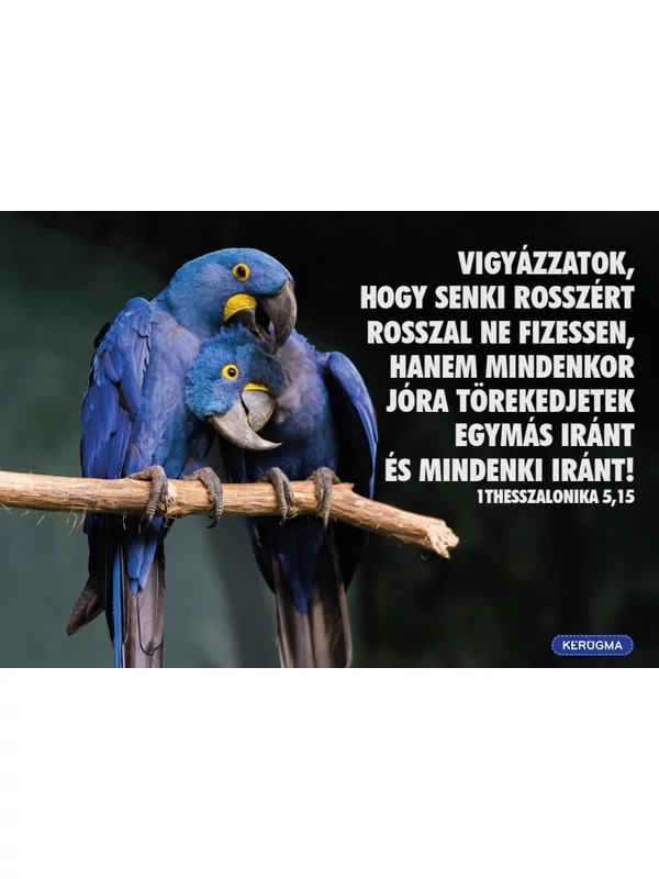 Vigyázzatok – képeslap csomag (10 db)