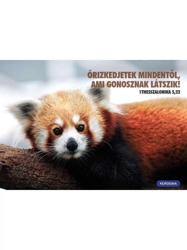 Őrizkedjetek mindentől – képeslap csomag (10 db)