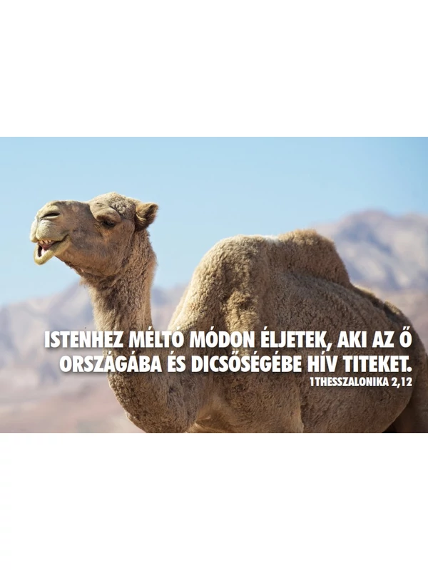 Istenhez méltó módon – képeslap csomag (10 db)
