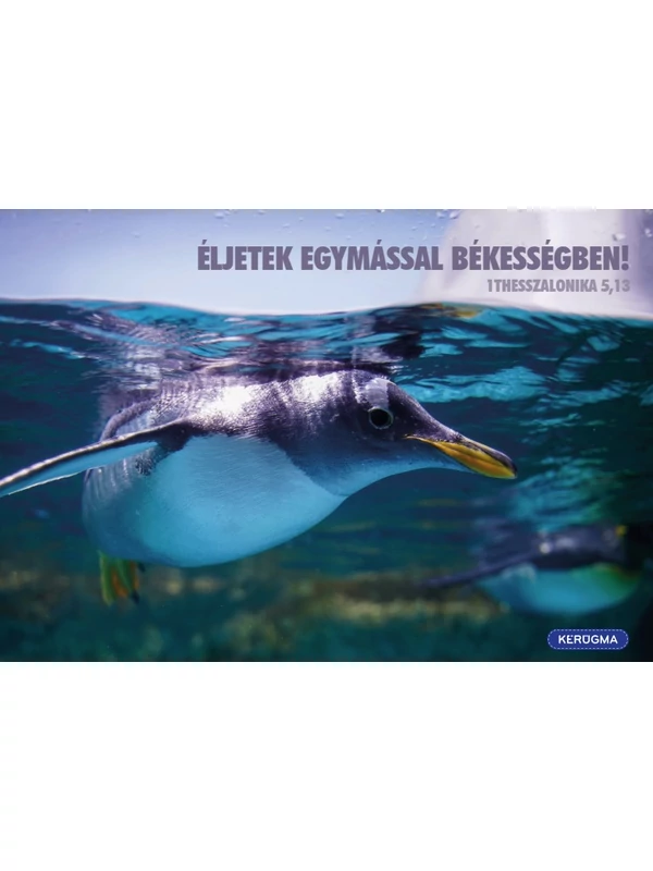 Éljetek egymással békességben – képeslap csomag (10 db)