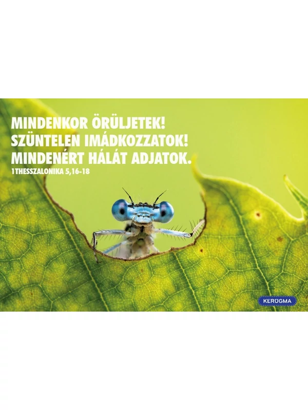 Képeslapcsomag, vegyes (fekvő) – Örüljetek az Úrban! – Igék Pál leveleiből – 13 db/csomag