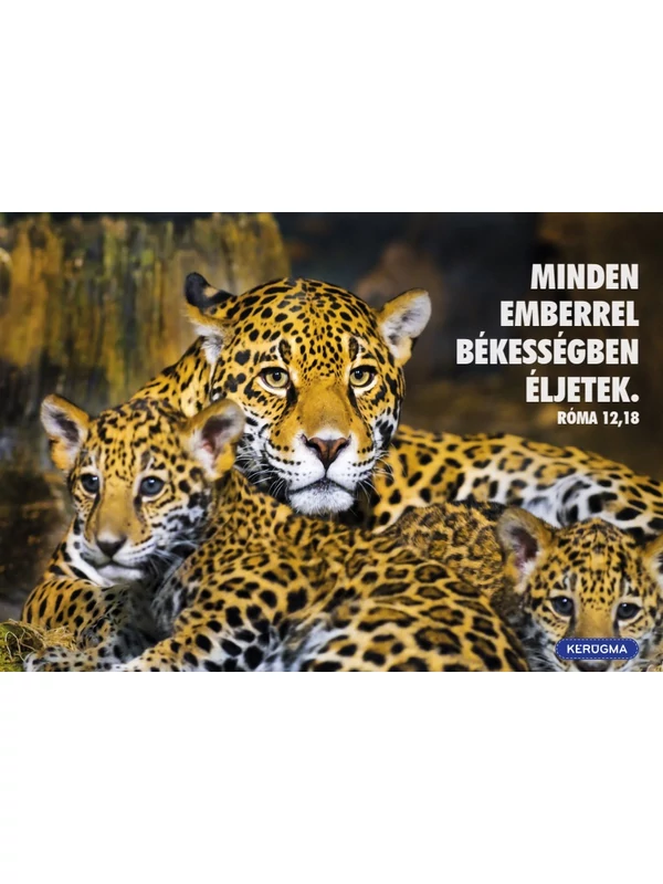 Minden emberrel – képeslap csomag (10 db)