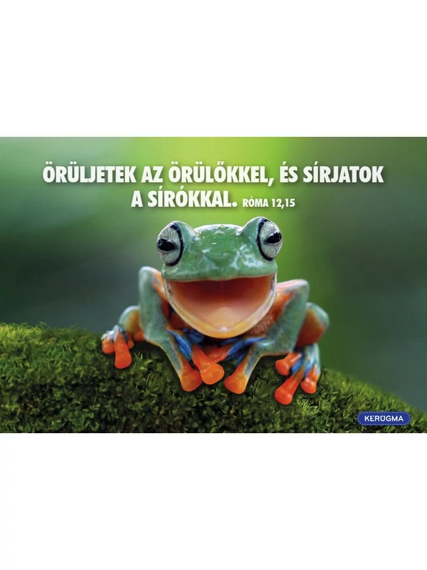 Örüljetek az örülőkkel – képeslap csomag (10 db)
