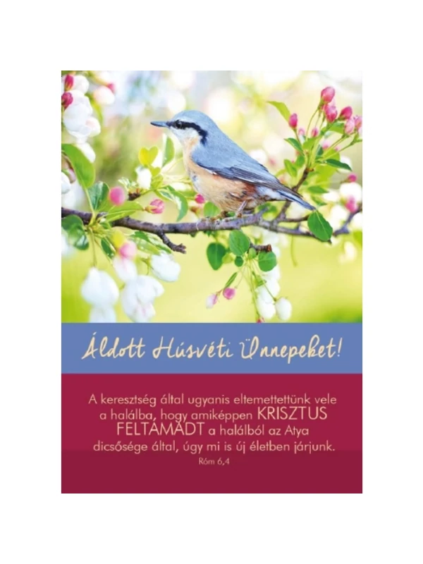 A keresztség által ugyanis – Madár – Húsvéti képeslap csomag
