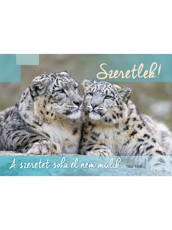 A szeretet soha el nem múlik – Képeslap csomag (KE-U10)