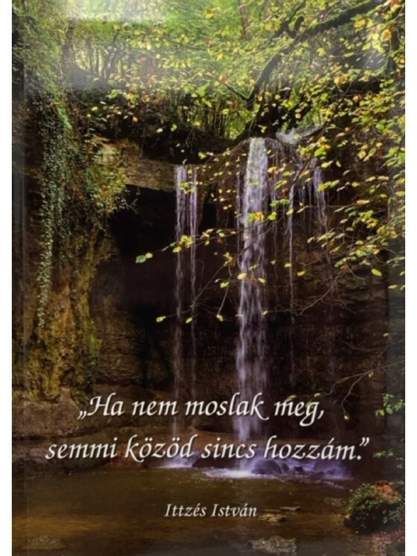 Ha nem moslak meg, semmi közöd sincs hozzám – Ittzés István