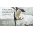 Kép 1/2 - Kártyanaptár csomag 2024 (36) – Az Úrhoz kiáltok, aki dicséretre méltó... (pingvin)