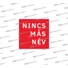 Kép 2/2 - „Nincs más név” – Uniszex póló – 3 színben
