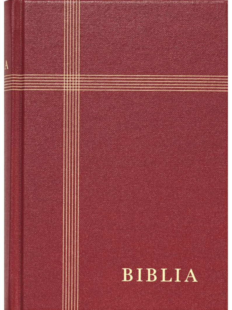 Új fordítású Biblia – Nagy méretű, vászonkötéses