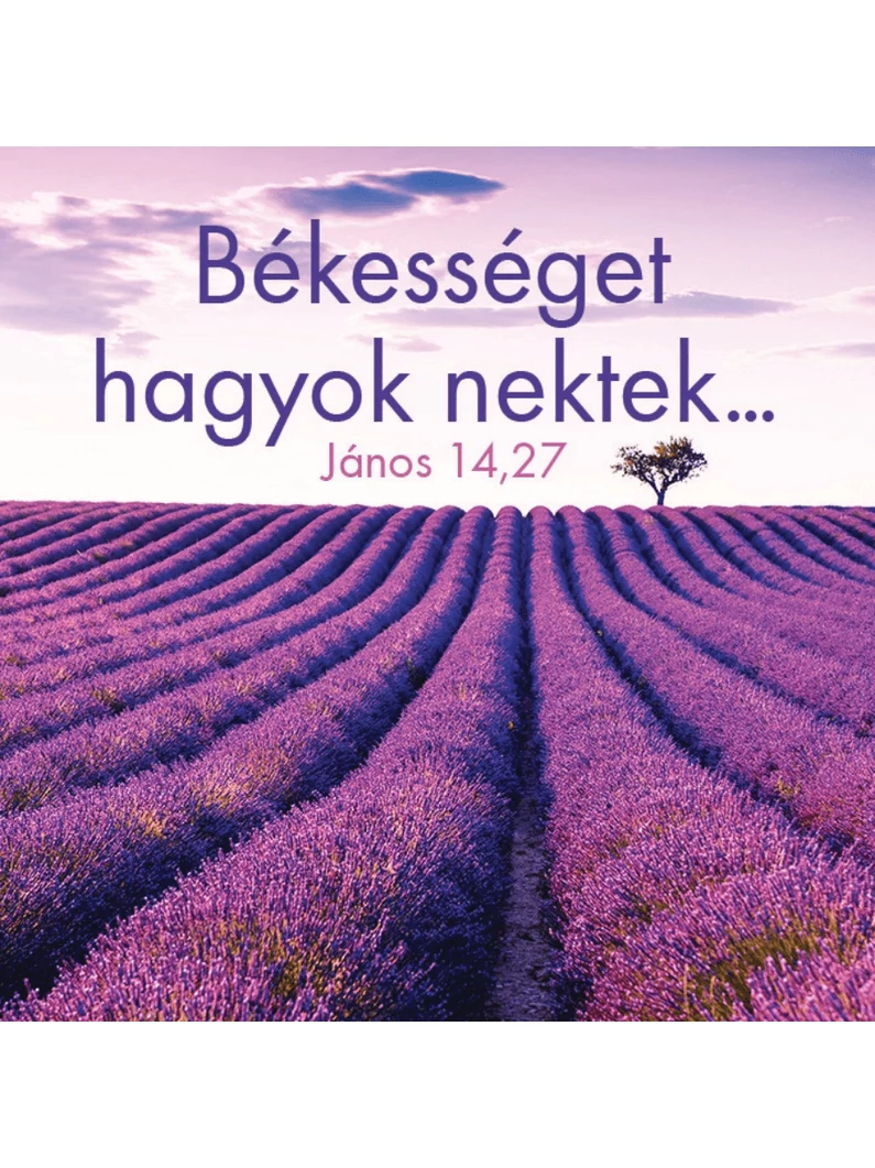 Békességet hagyok nektek... – Hűtőmágnes