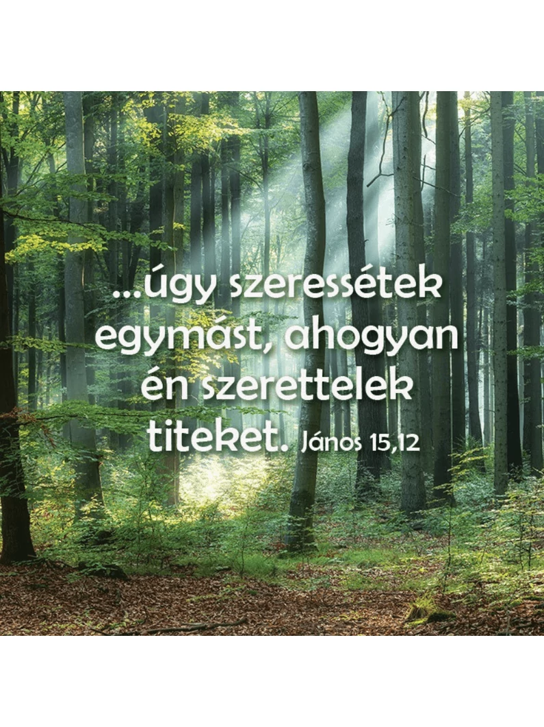 ...úgy szeressétek egymást... – Hűtőmágnes