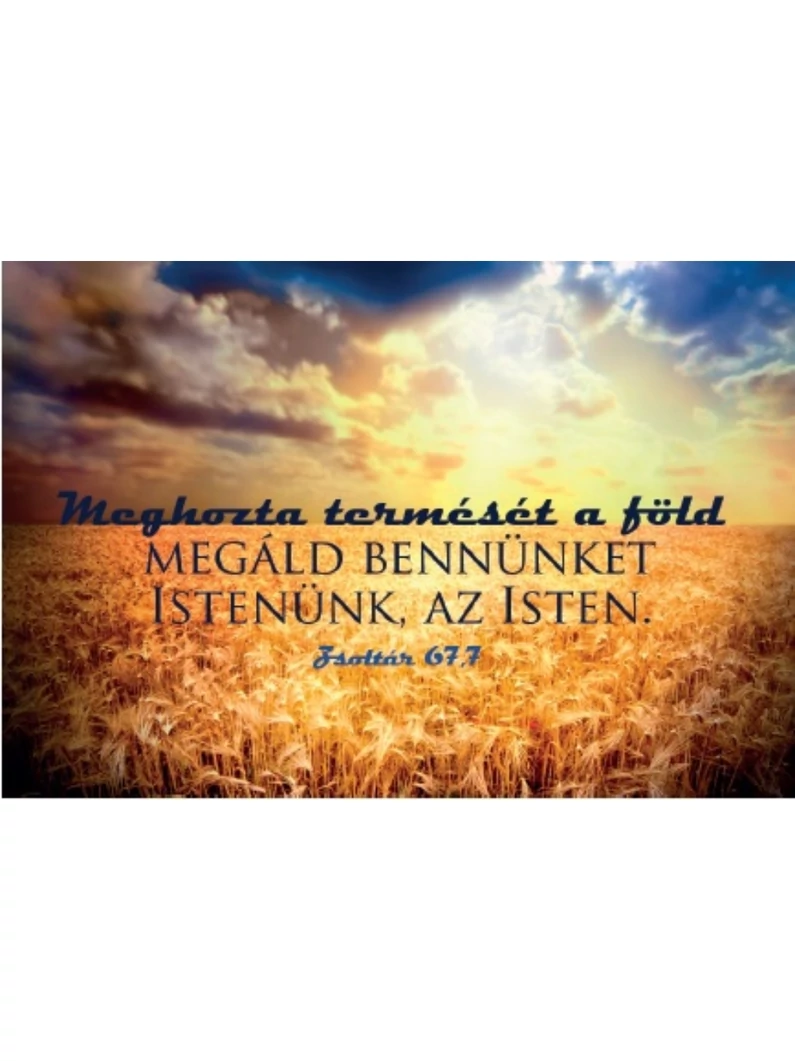Meghozta termését a föld... – Minikártya csomag (T08)