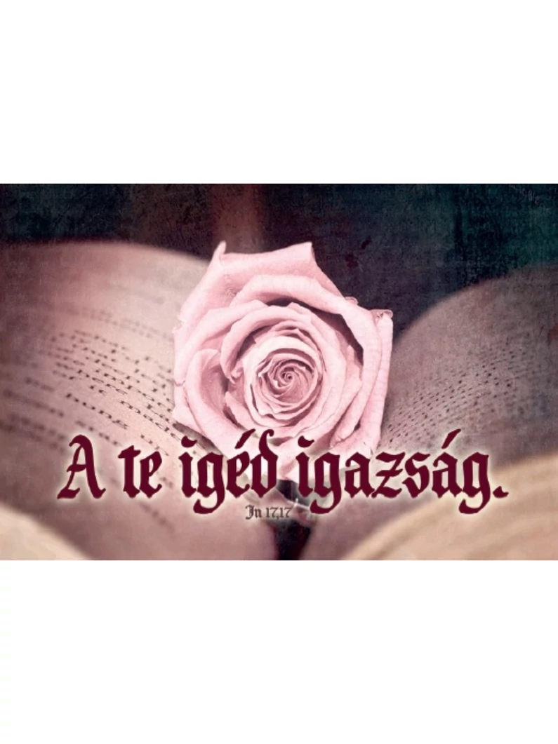 A te igéd igazság – Minikártya csomag (T20)