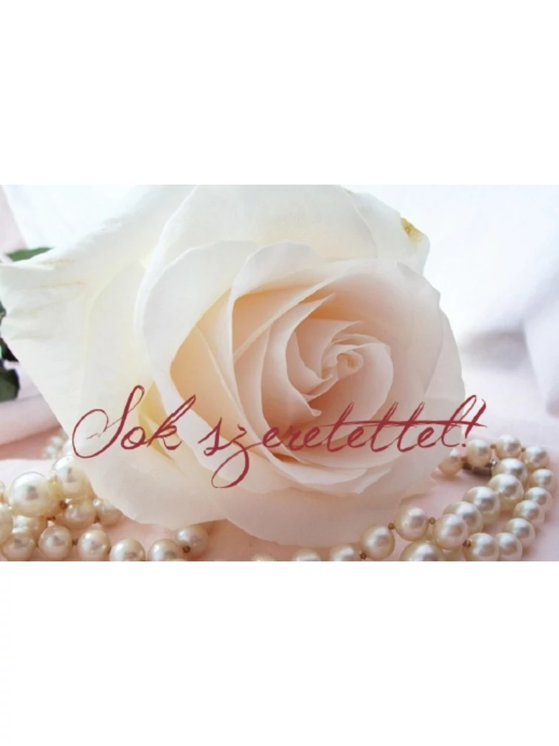 Sok szeretettel! – Minikártya csomag (T23)