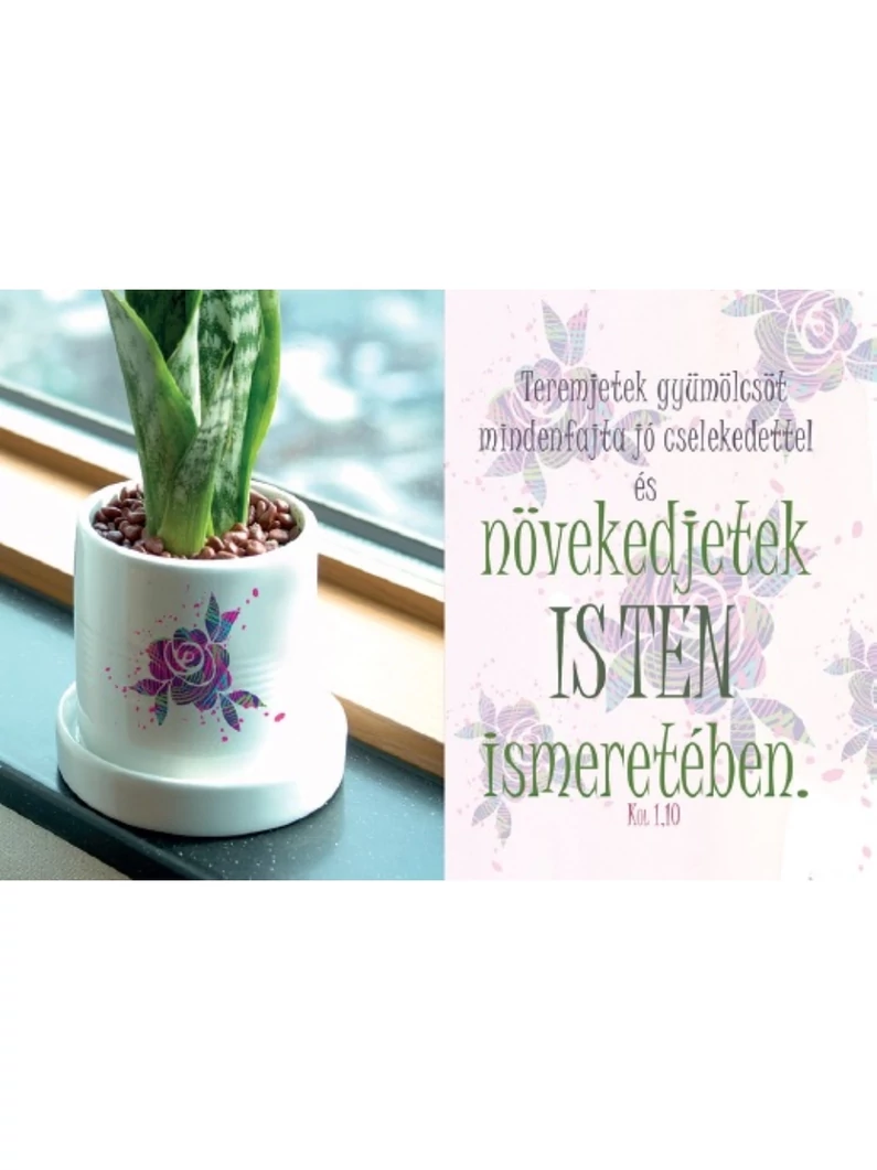 Teremjetek gyümölcsöt... – Minikártya csomag (T34)