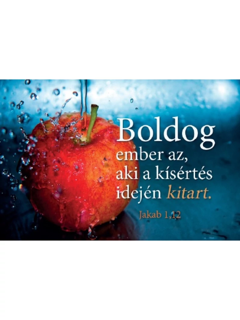 Boldog ember az, aki a kísértés idején kitart – Minikártya csomag (T45)