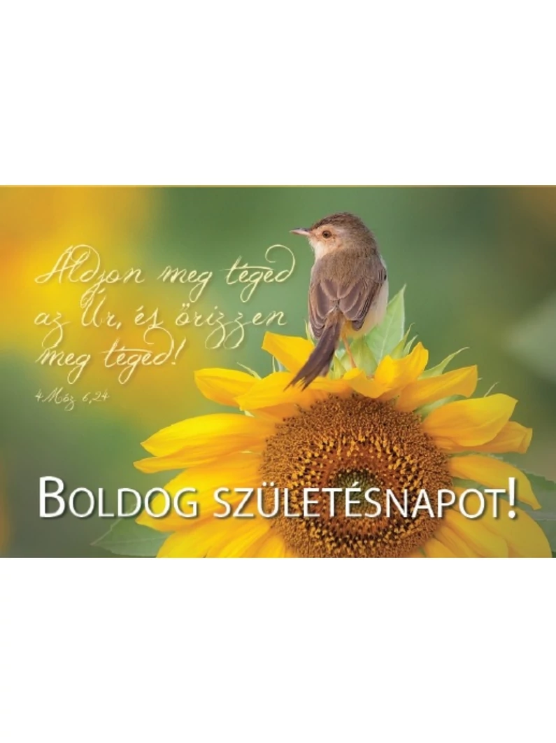 Áldjon meg téged az Úr... (születésnap) – Minikártya csomag (T47)