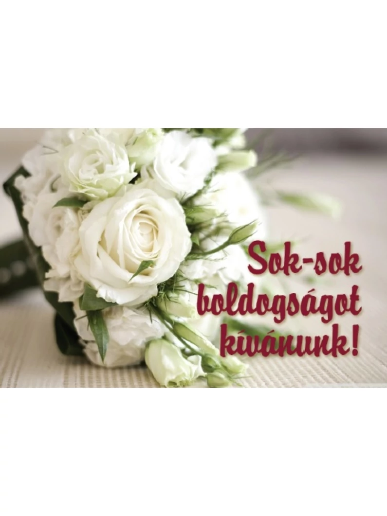 Sok-sok boldogságot kívánunk! – Minikártya csomag (T60)