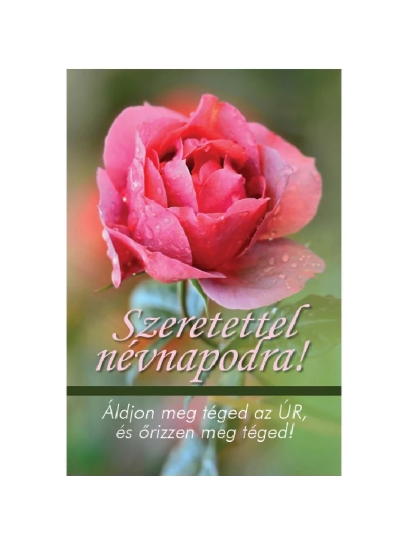 Áldjon meg téged az Úr... (névnap) – Minikártya csomag (T64)